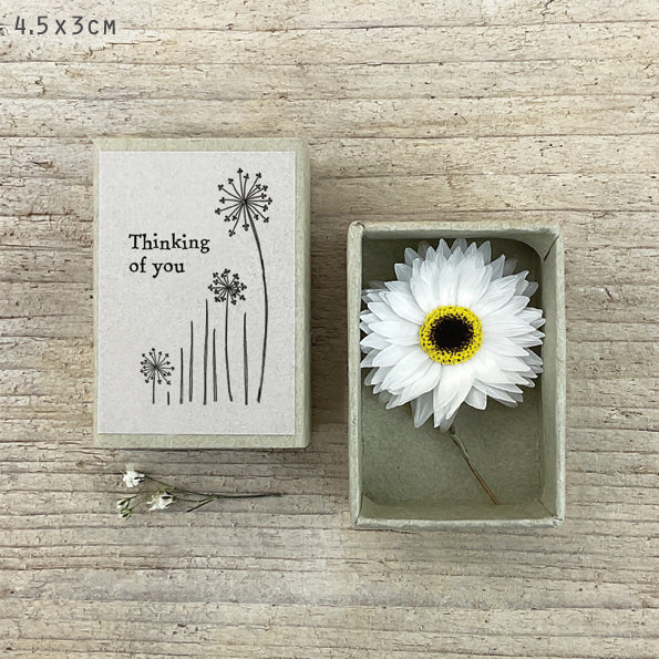 Dried Flower Matchboxes
