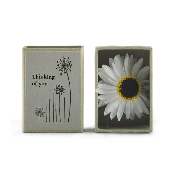 Dried Flower Matchboxes