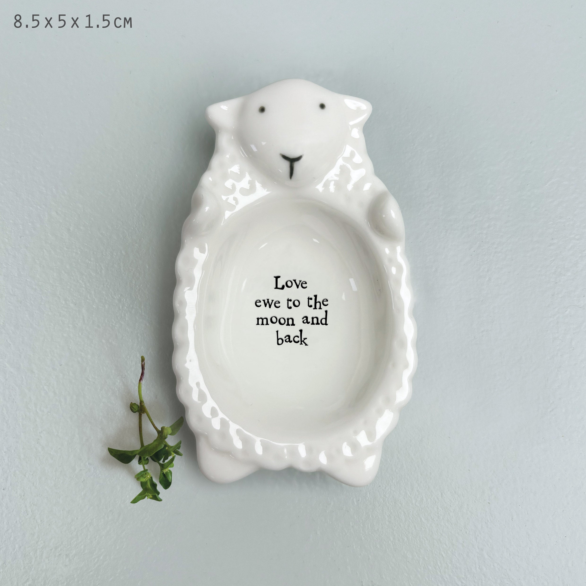 Flat Animal Dishes