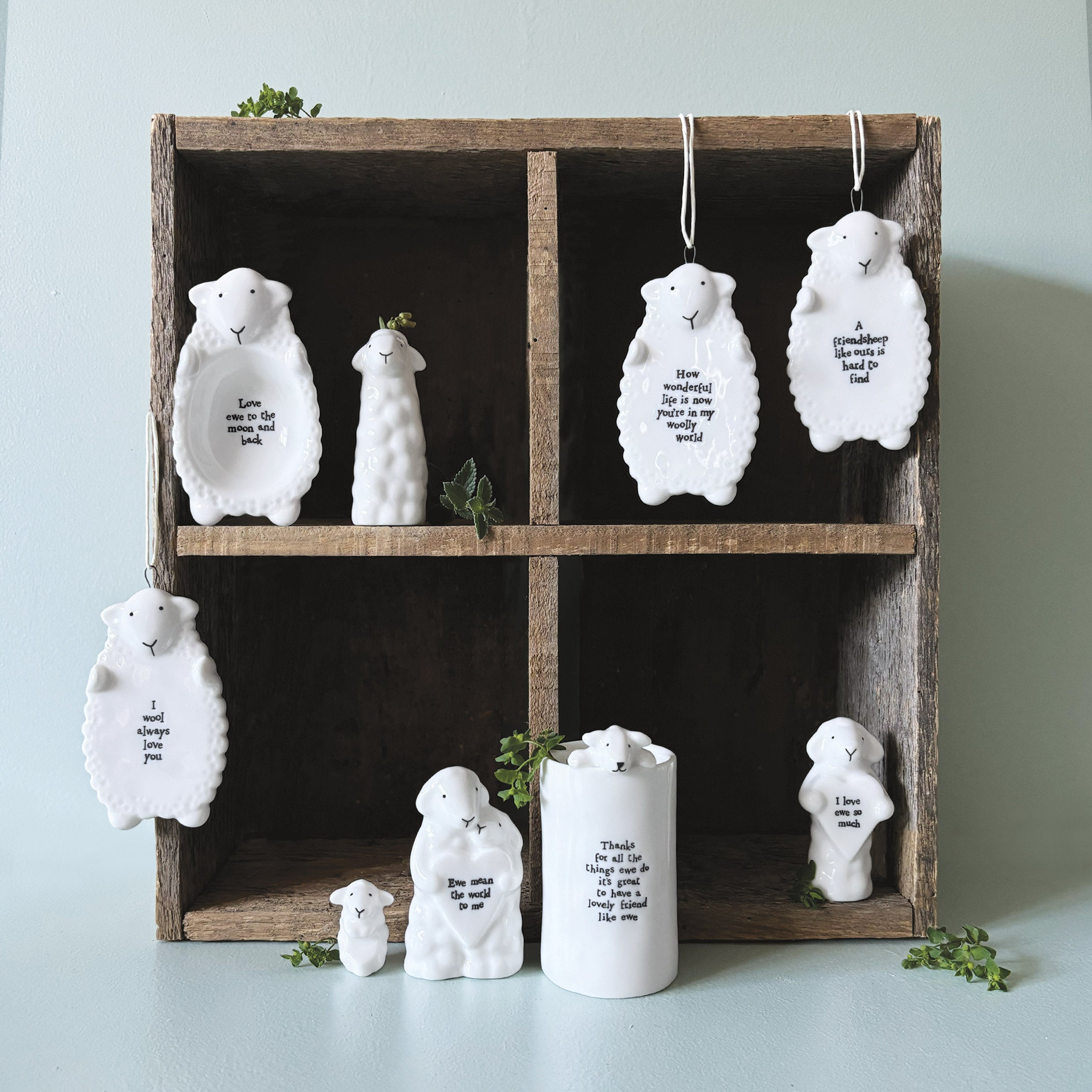 Flat Animal Dishes