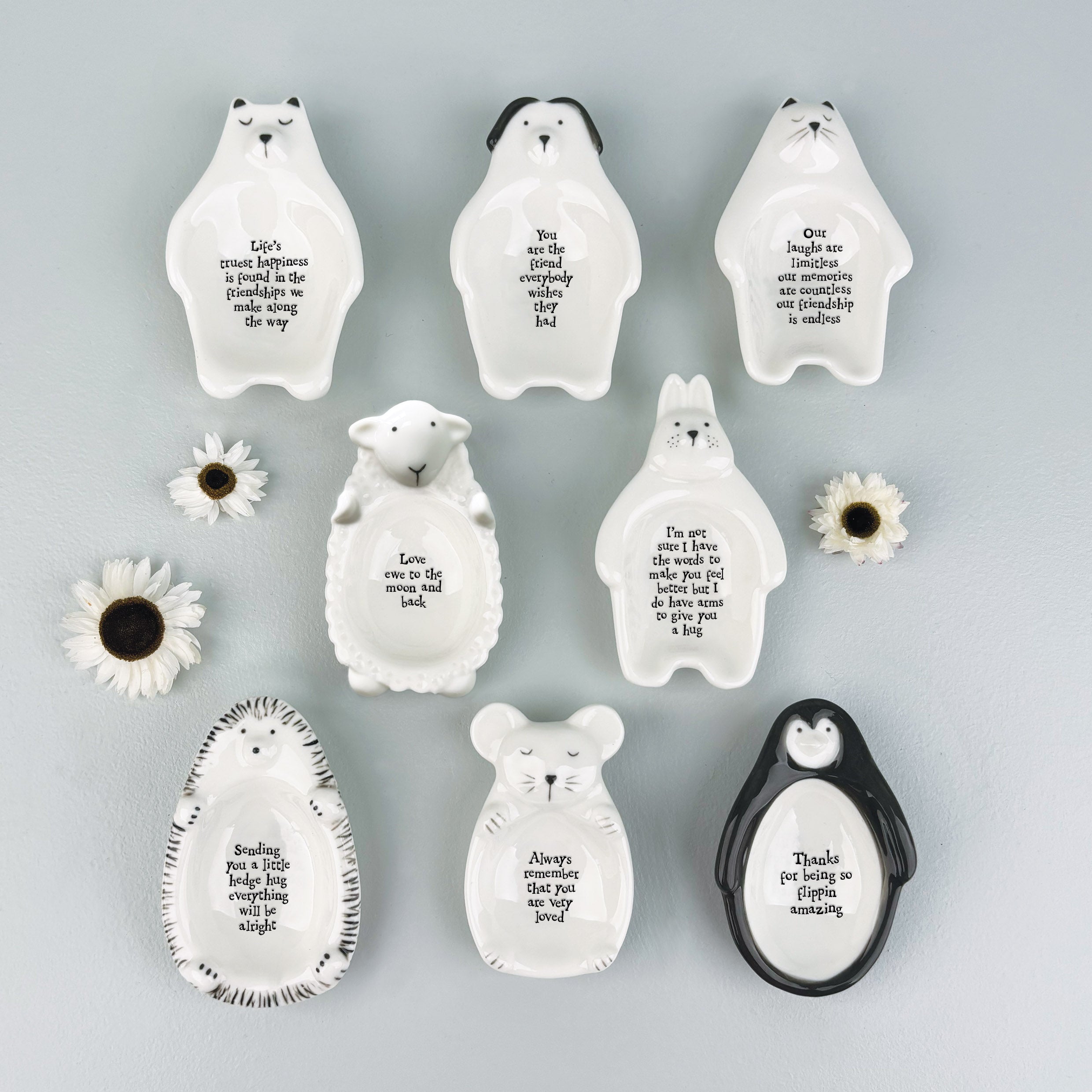 Flat Animal Dishes