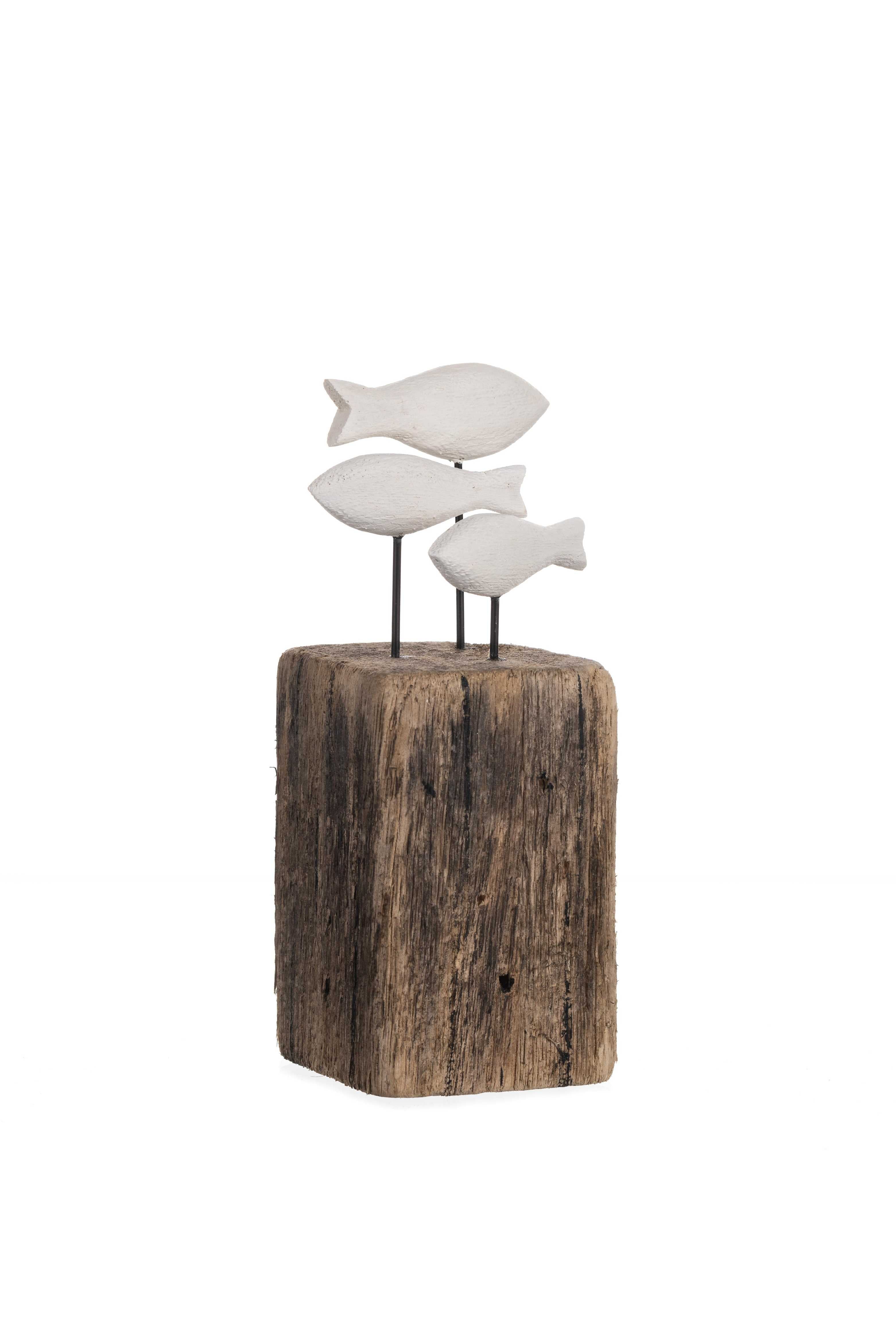 White Fishes on Driftwood