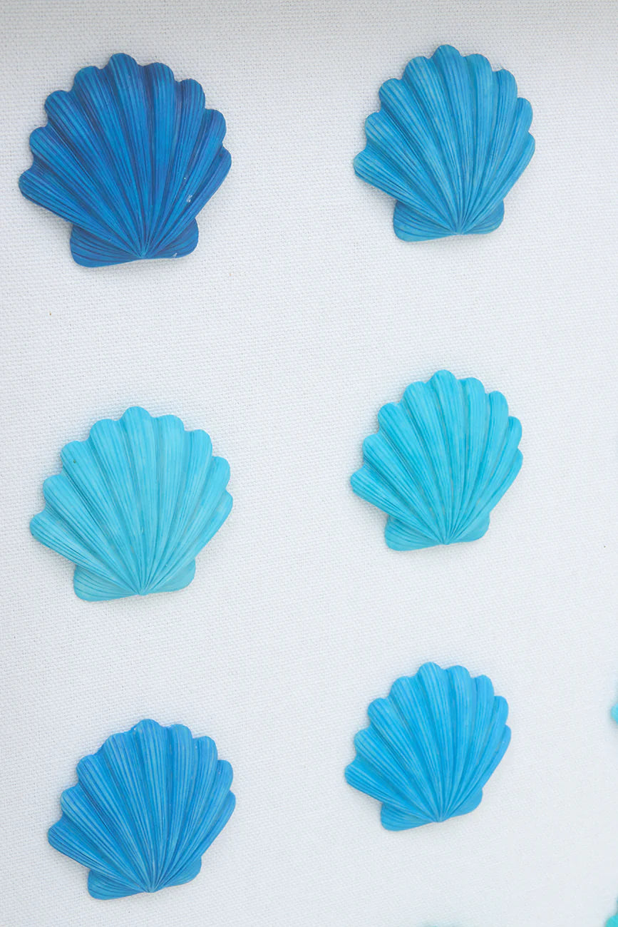 Shell Picture