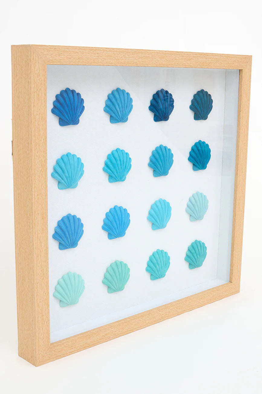 Shell Picture