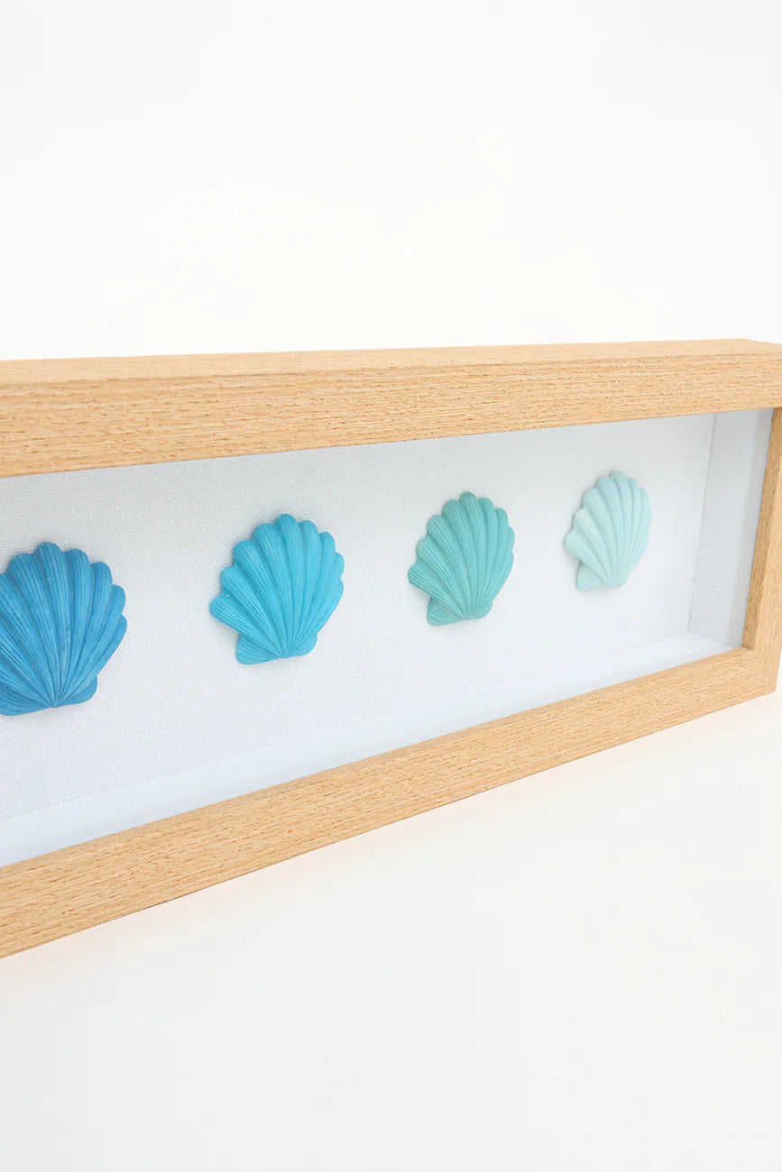 Shell Picture