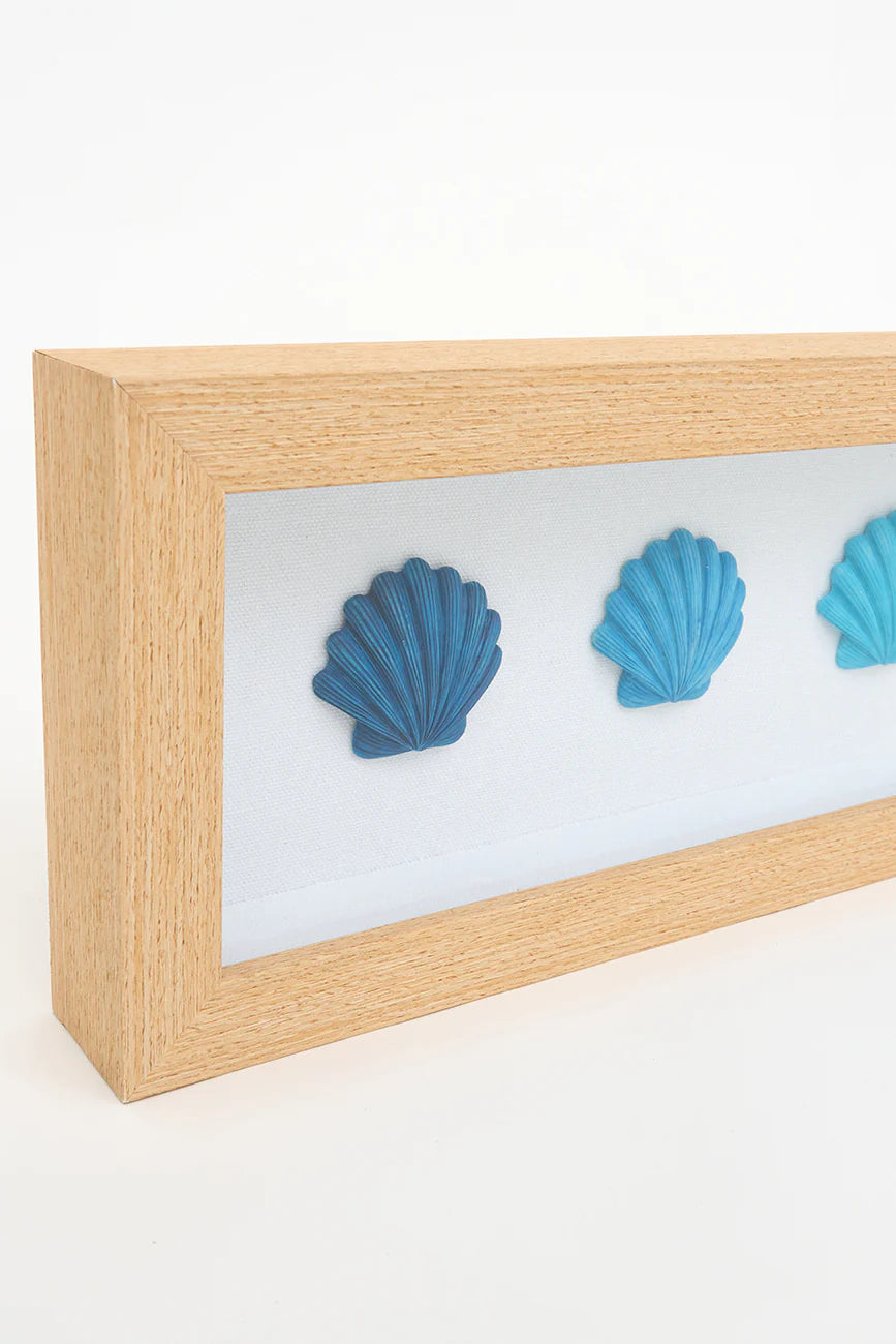 Shell Picture
