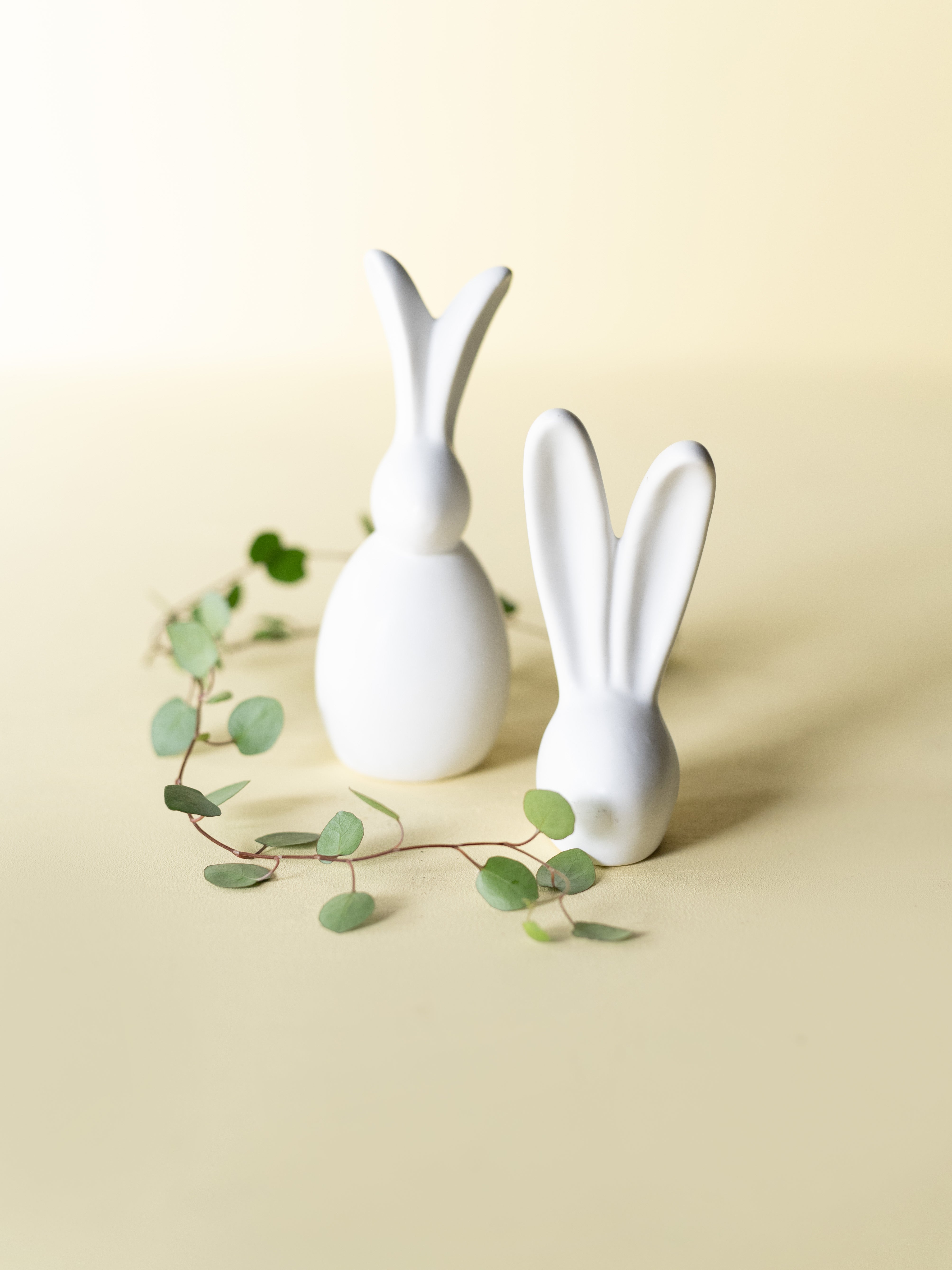 Porcelain Rabbits