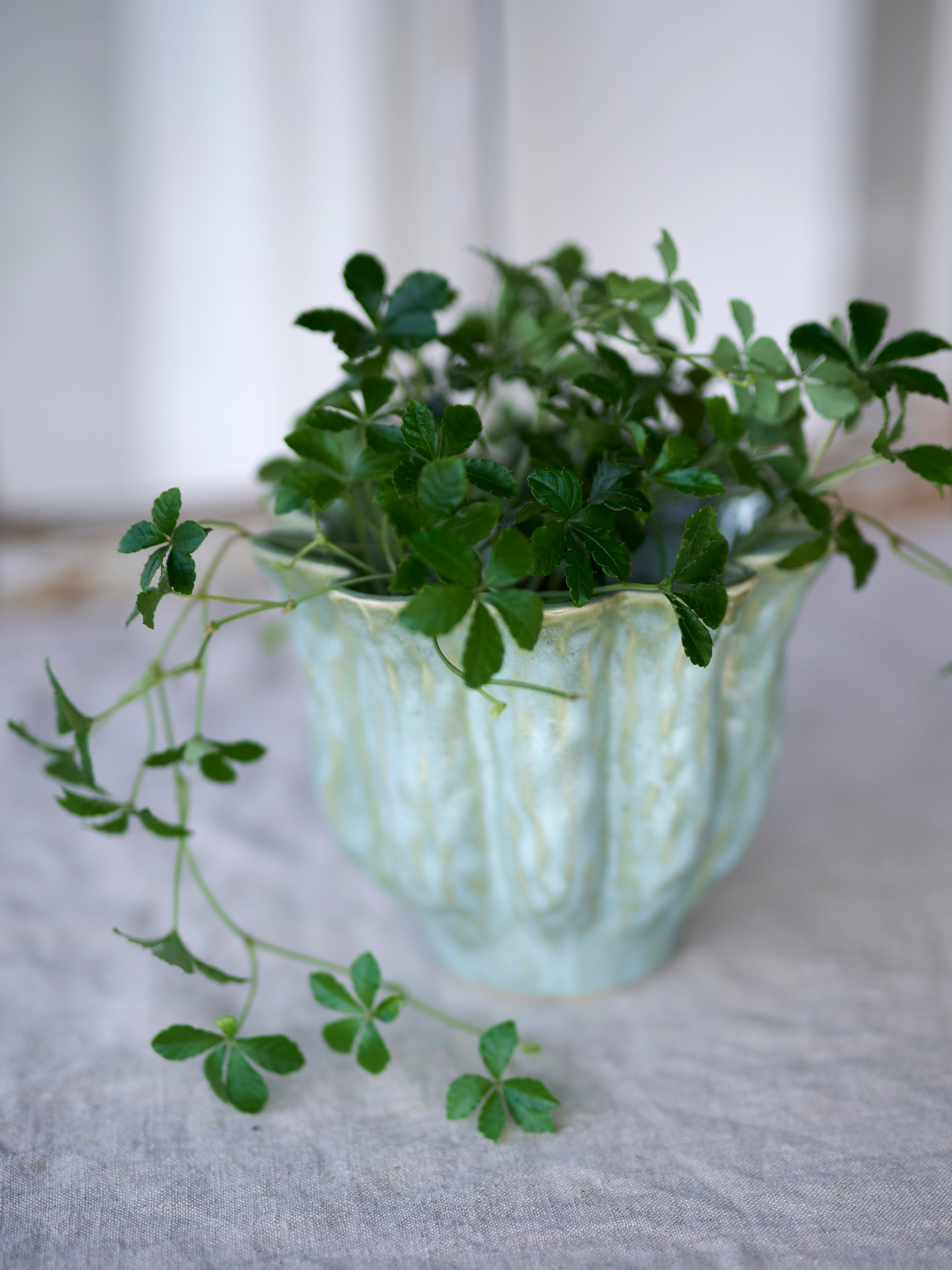 Malin Green Plant Pot