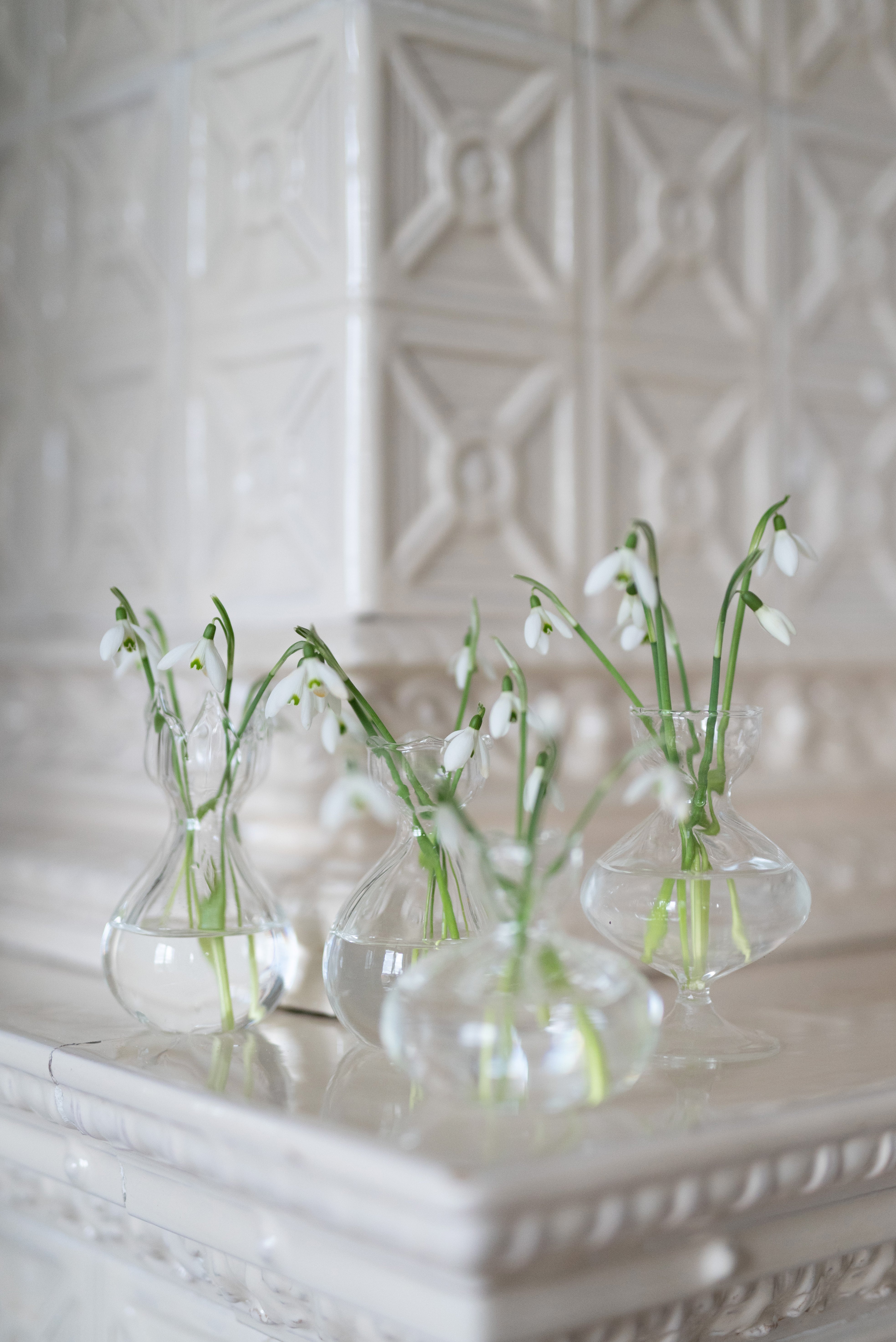 Glass Flower Vases