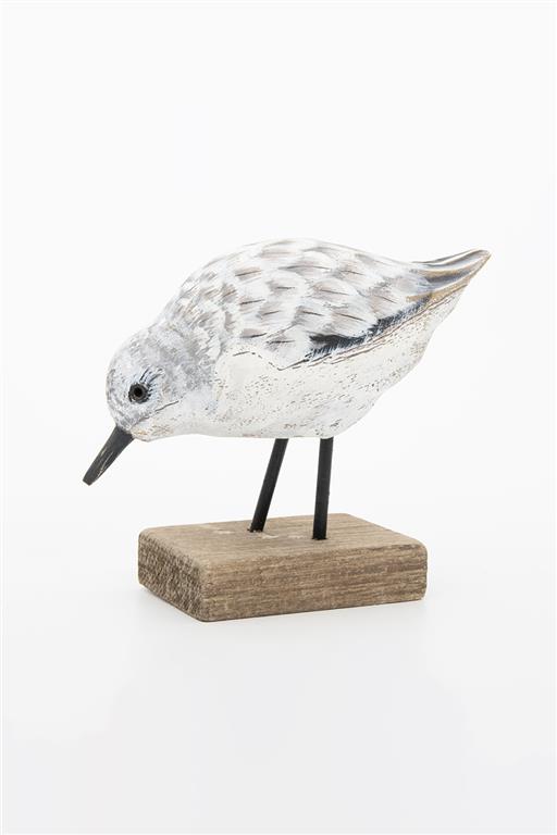 Sandpiper Bird