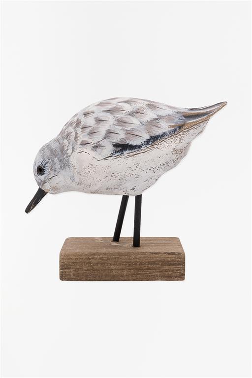 Sandpiper Bird
