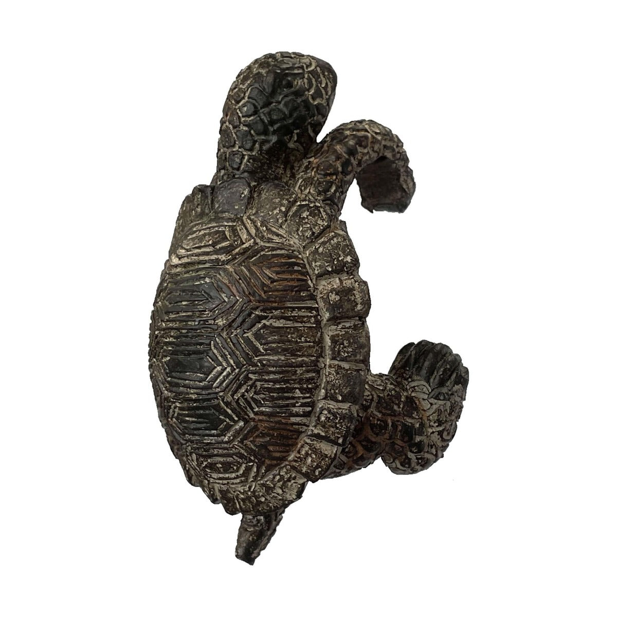 Pothanger - Winston Tortoise