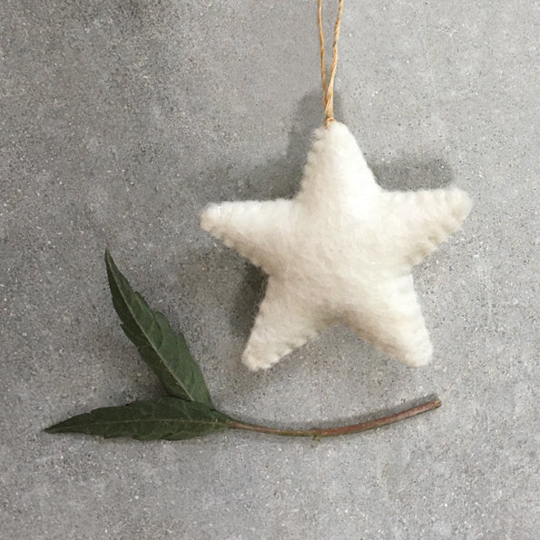 Star - Felt Hanging Star