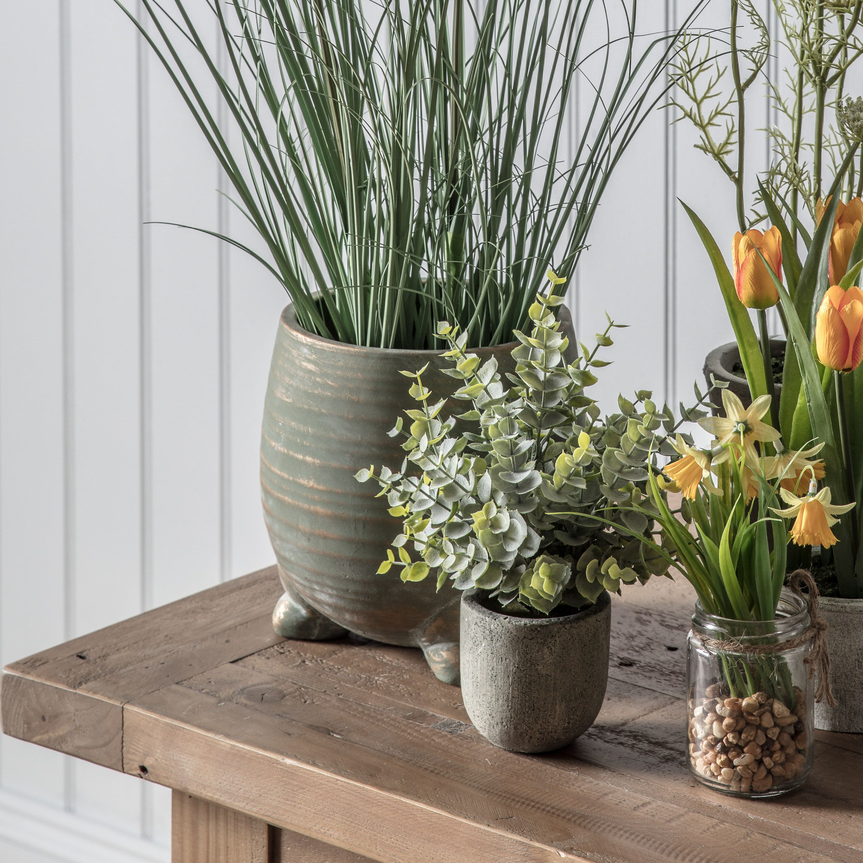 Eucalyptus with Rustic Pot