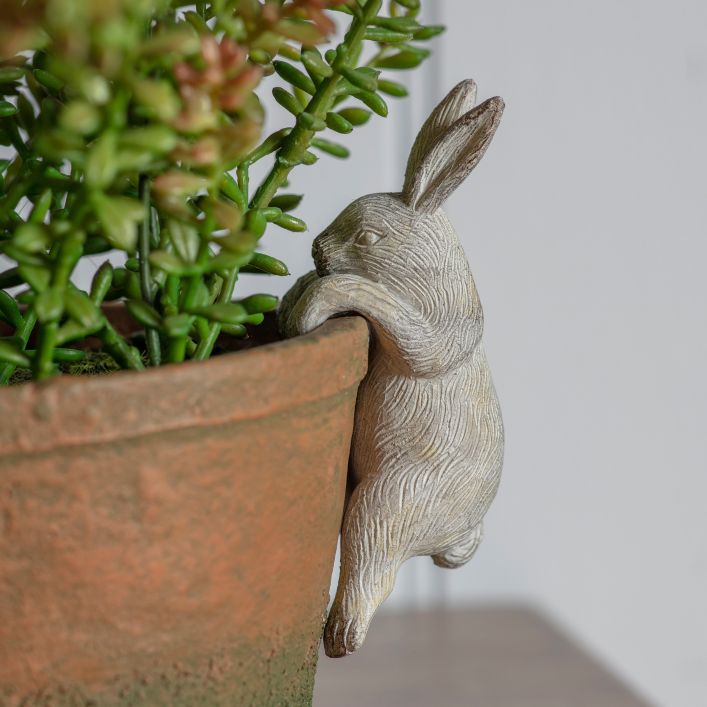 Pothanger - Pippa Hare