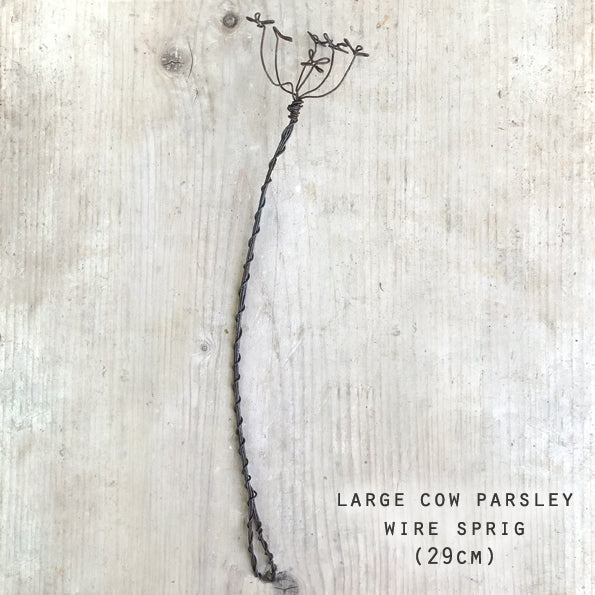 Wire Sprig - Cow Parsley