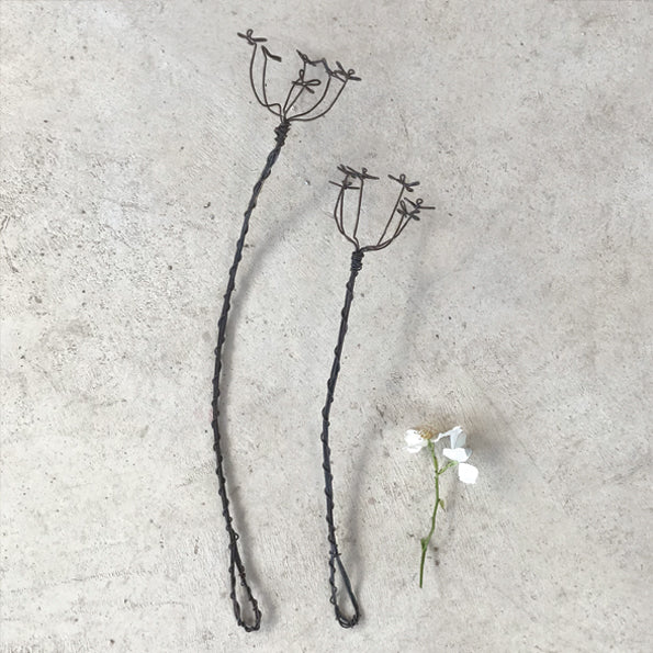 Wire Sprig - Cow Parsley