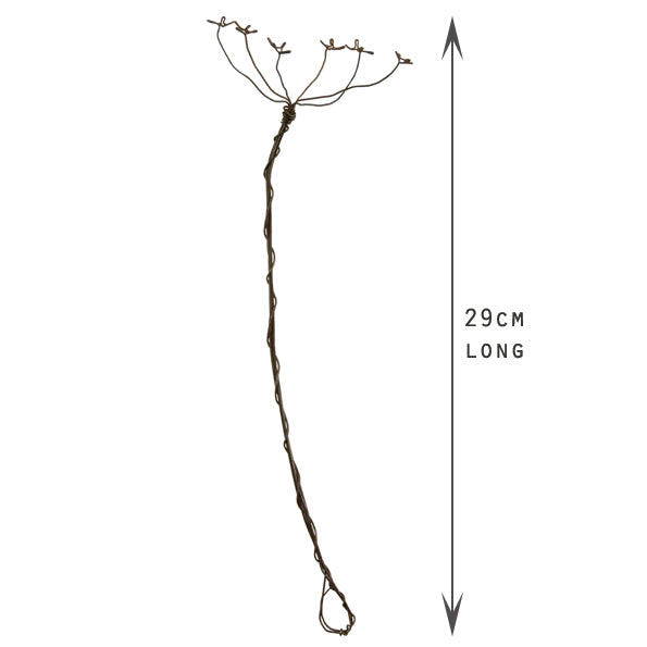 Wire Sprig - Cow Parsley