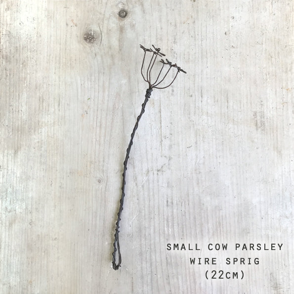 Wire Sprig - Cow Parsley