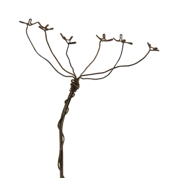 Wire Sprig - Cow Parsley