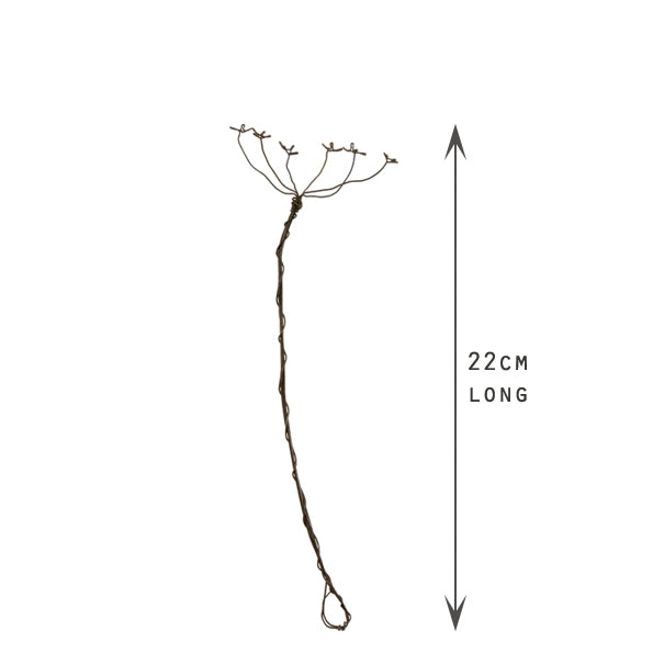 Wire Sprig - Cow Parsley
