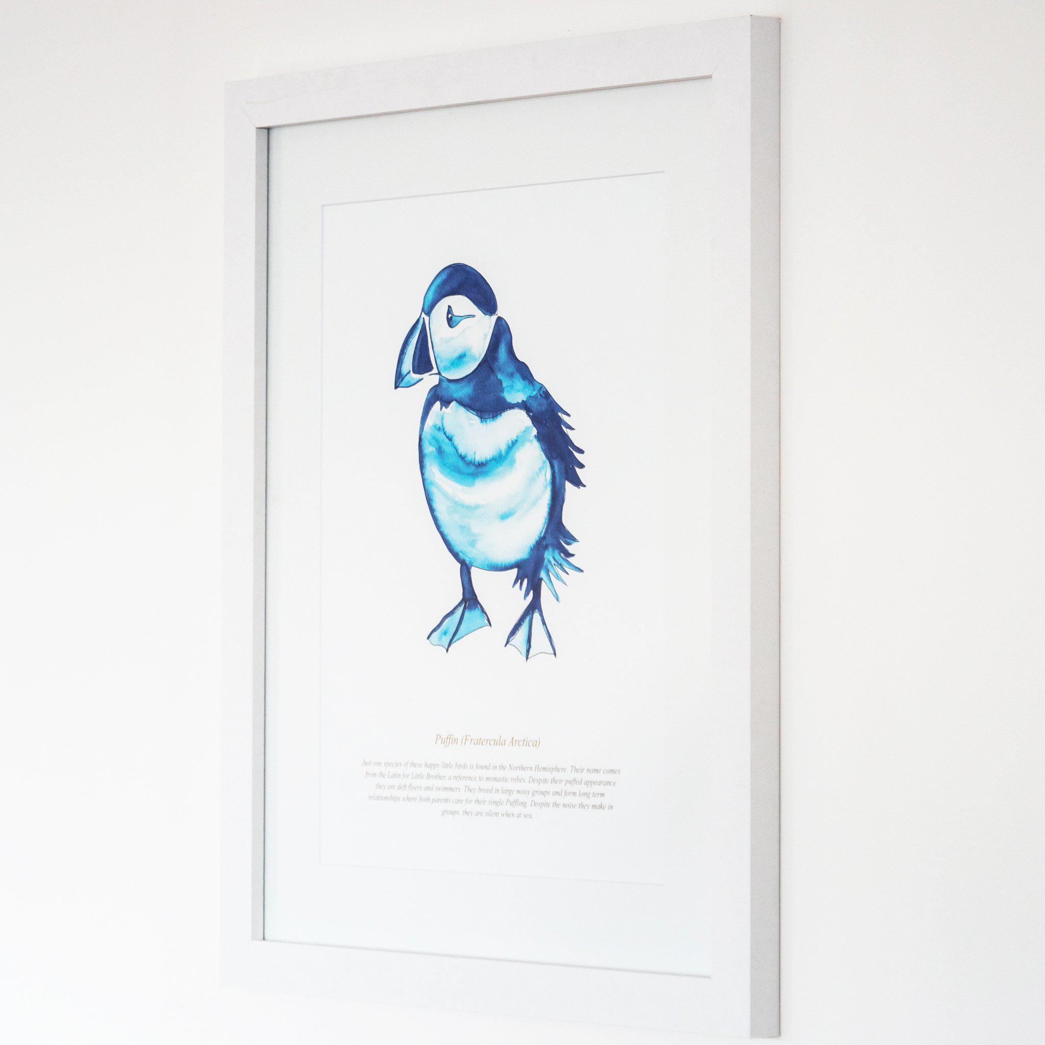 Print - Puffin Watercolour