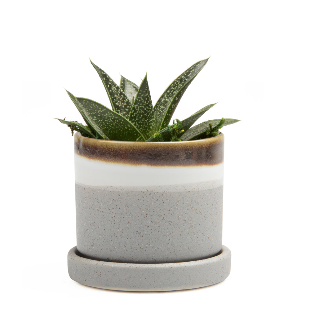 Minute Plant Pot & Saucer