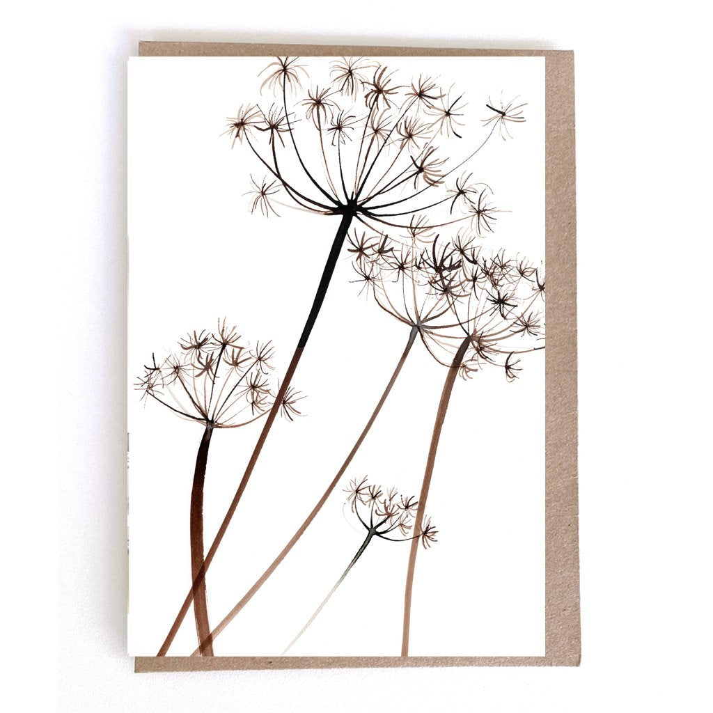 Card - Cow Parsley
