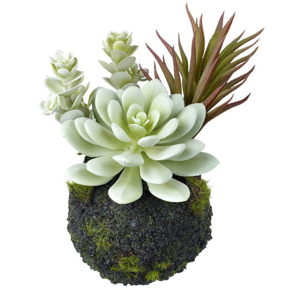 parlane plant pots Botanist Plant Pot – the Shabby and Chic