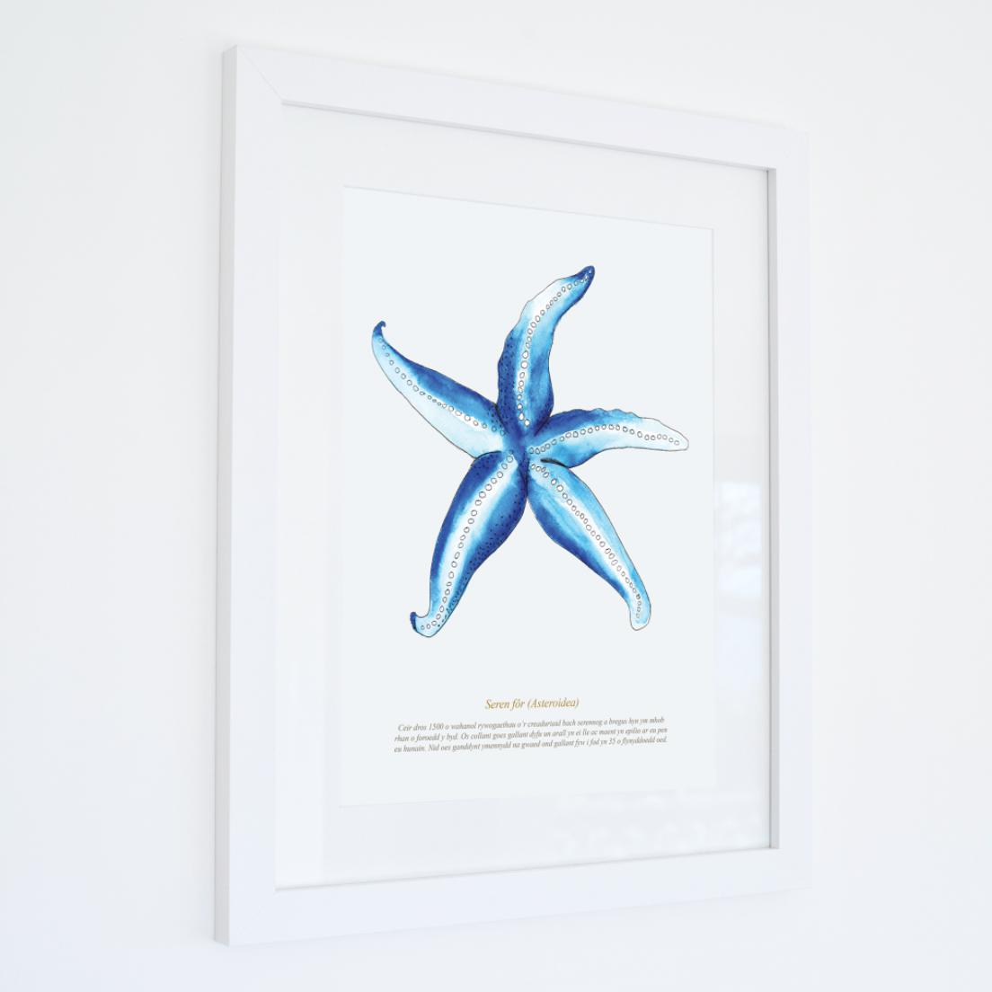 Print - Starfish Watercolour